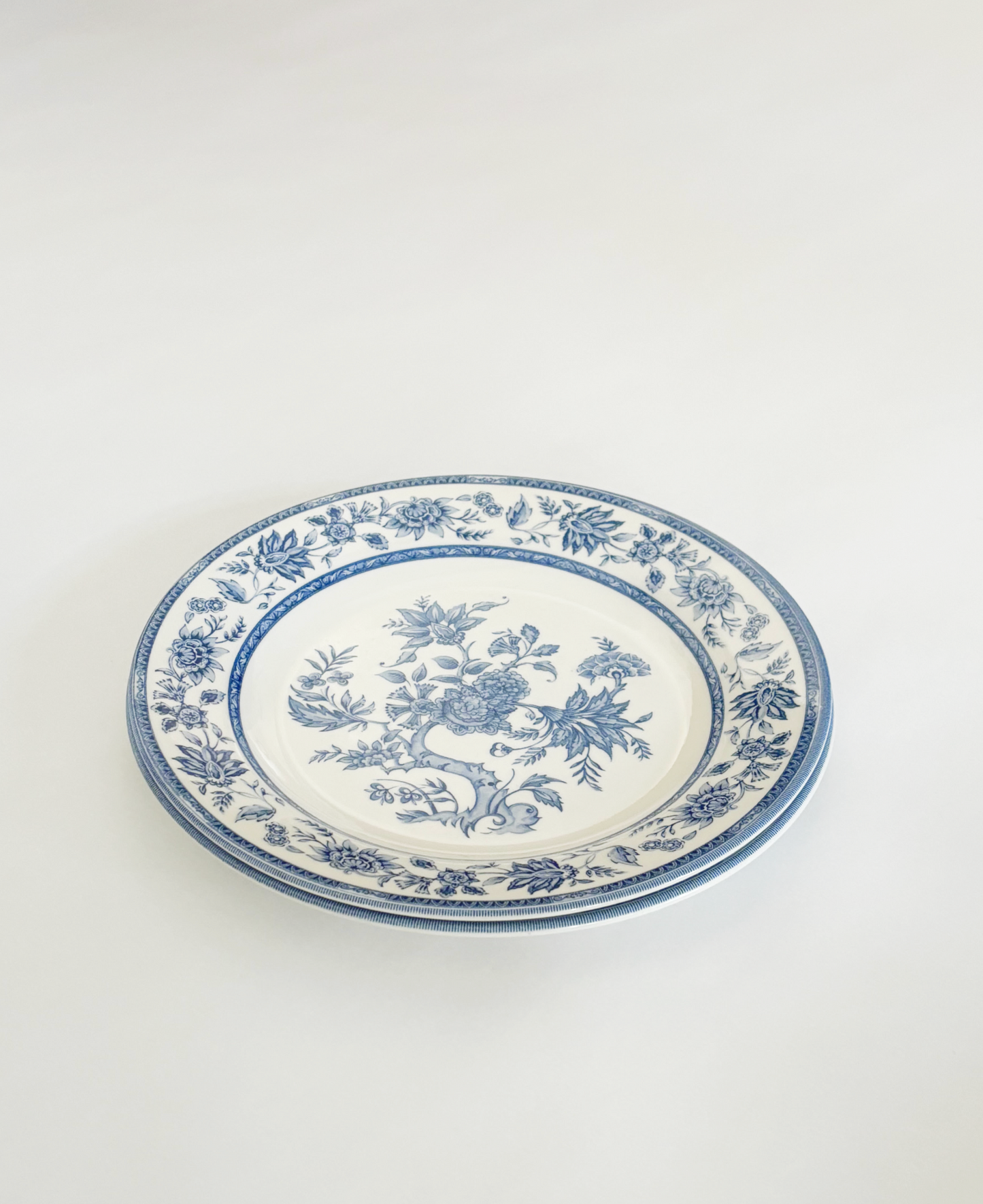 BLUE INDIAN TREE DINNER PLATES