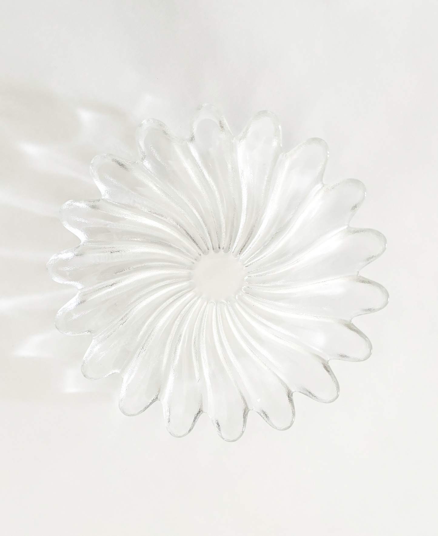 STUDIO NOVA SOLARIS DISH